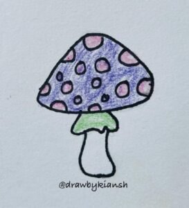 Amanita Muscaria