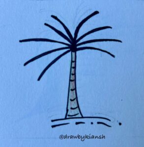 Palm Tree