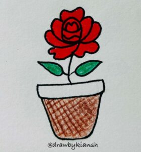 Rose in Pot 