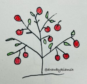 drawbykiansh-cherry-tree