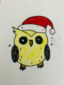 drawbykiansh-owl-with-santa-hat